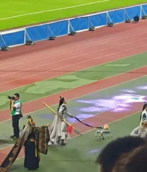昨天看到机器狗套个熊猫的皮, 购买欲爆棚