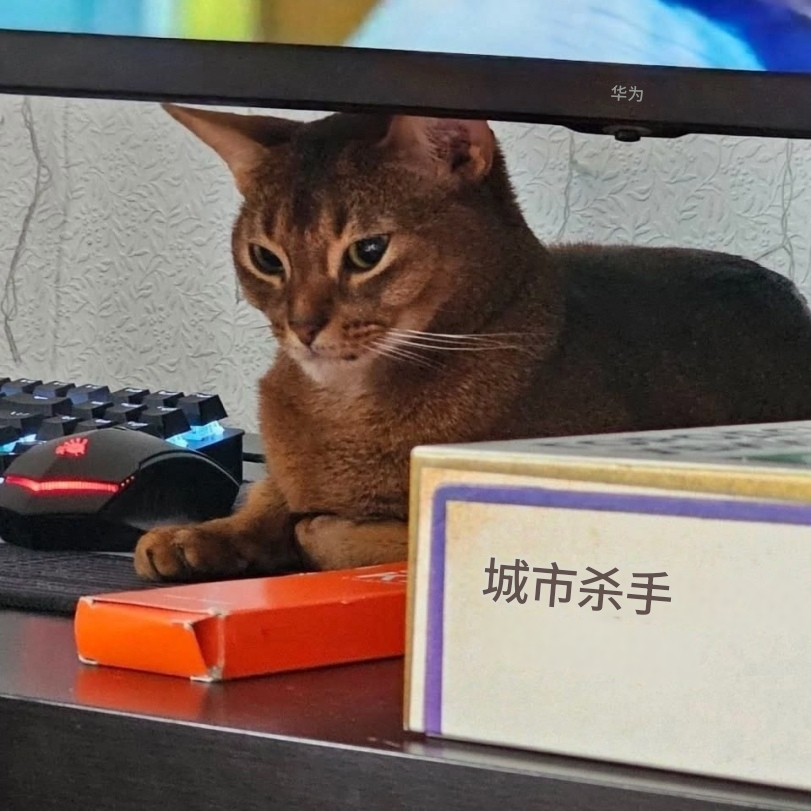 华为还出显示屏