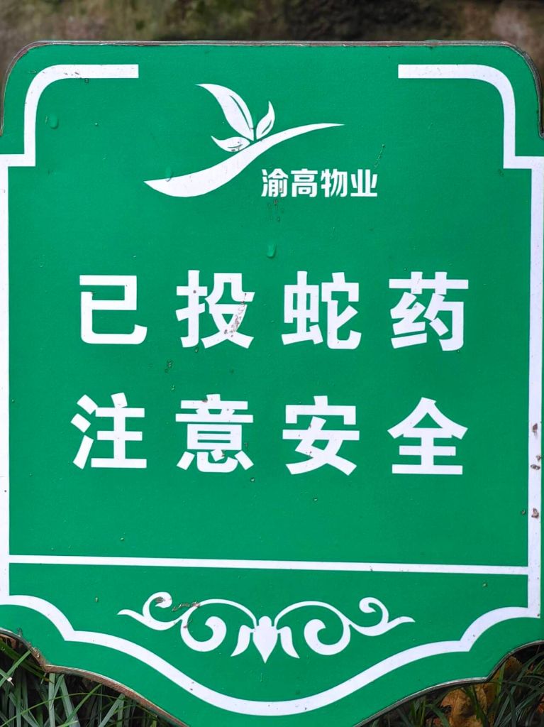 发大水