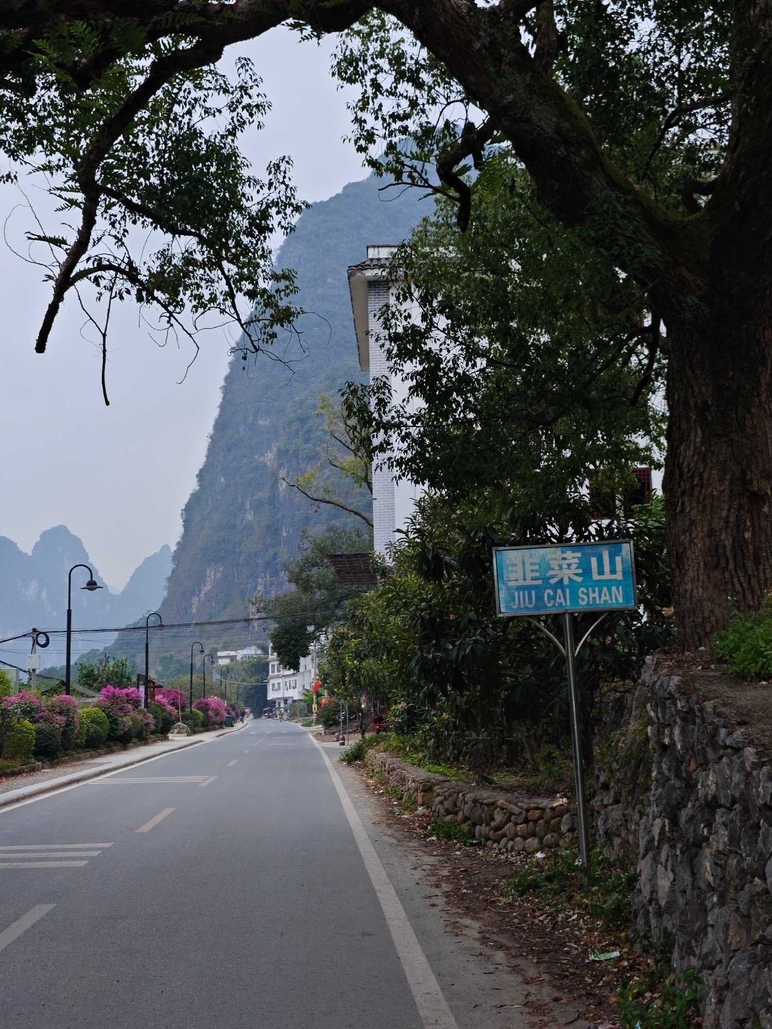 于是转身朝山外走去…