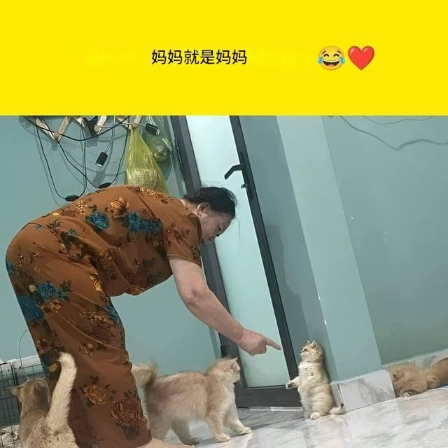 这是姥姥，哈集米的姥姥